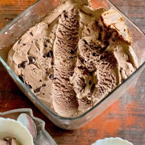 homemade icecream in an airtight container