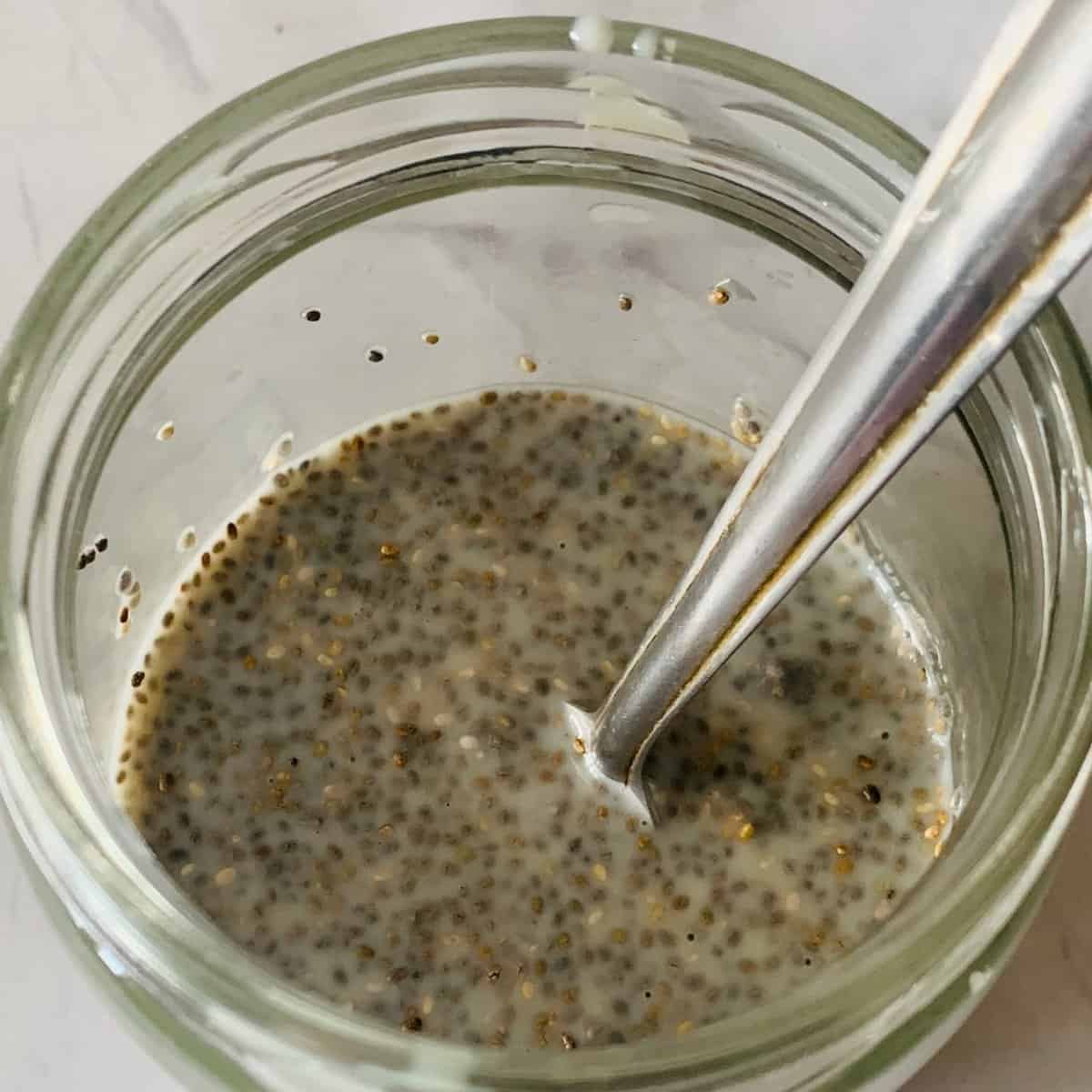 chia seeds in oat milk 