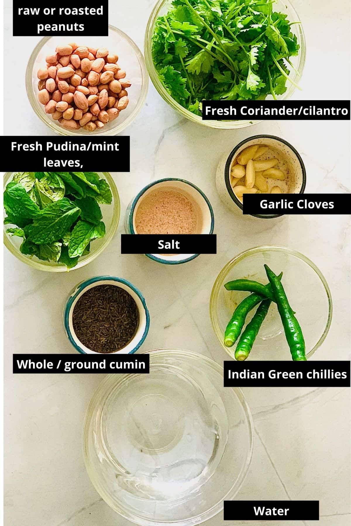 ingredients for hari chutney 